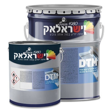 תמונה של DTM